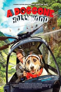 ดูหนัง A Doggone Hollywood (2017)