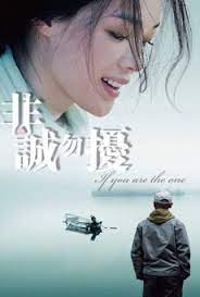 ดูหนัง If You Are the One (Fei cheng wu rao) (2008) ผิดรักหัวใจหลงลึก
