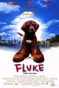ดูหนัง Fluke (1995) เกิดใหม่กลายเป็นหมา